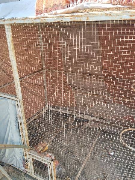 cage for sale ha 3
