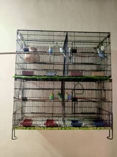 budgies and cages