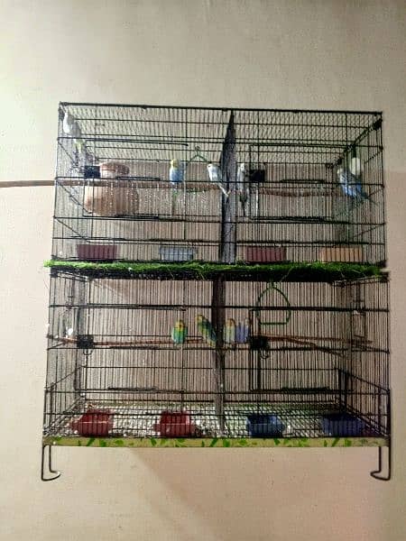 budgies and cages 0
