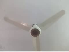 high speed celling fan beautiful design