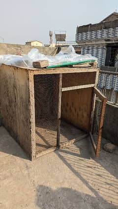Cage/Pinjra/Khudda For sale 4by4