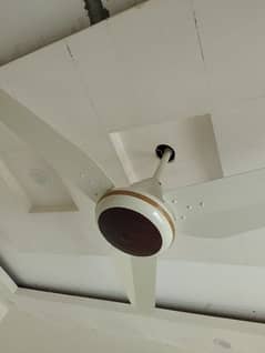 2 pak fan inventor fans 30 watt 2 month used no foolish offer
