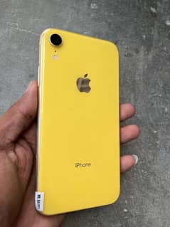 iPhone XR Condition is 10_9 battery health 79 JV 0