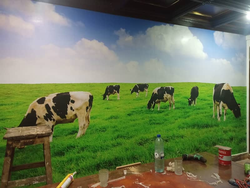 Panaflex Printing near me Digital Printing Vinyl Printing Backdrop 19