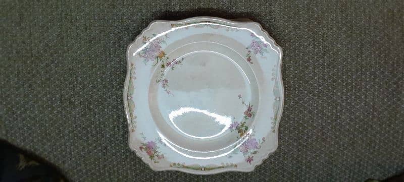 100 years old Antique 1928 Royal Winton Grimwades BEDFORD plates 11