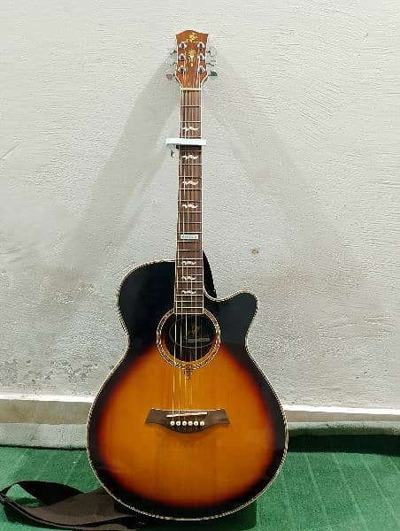 Swift Horse Brand New Guitar 0