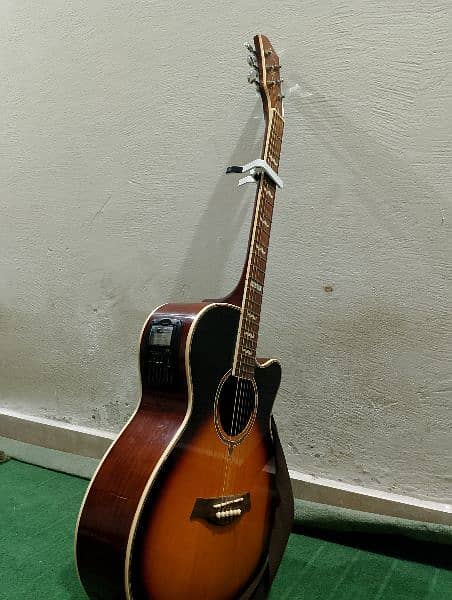 Swift Horse Brand New Guitar 4