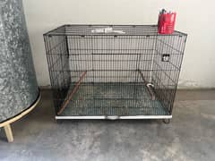 Cage, birds and box available