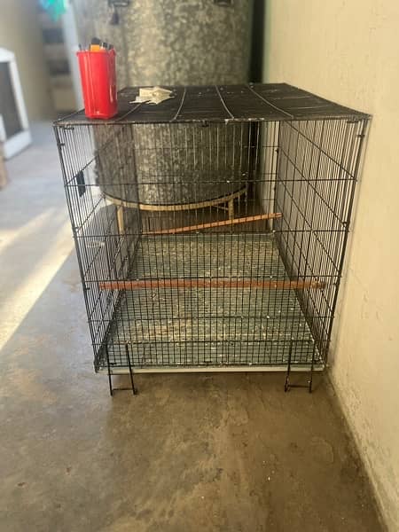 Cage, birds and box available 1