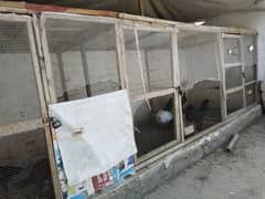 wooden cage for birds/hens/murga/patha