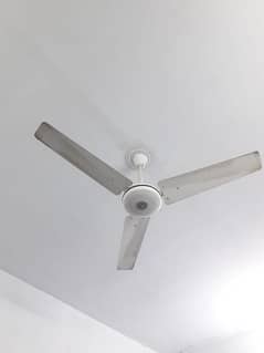 Pak Ceiling fan size 56