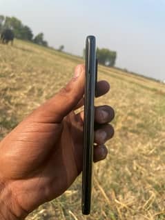one plus 8 pta approved dual 0