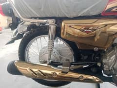 special edition 125 gold unregistered 0
