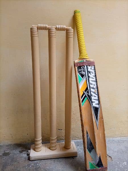 cricket accessories 4