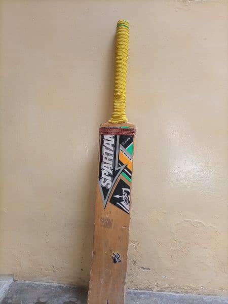 cricket accessories 5