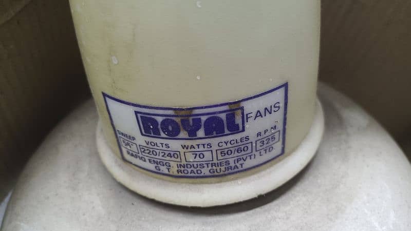 Royal Celling Fan 1