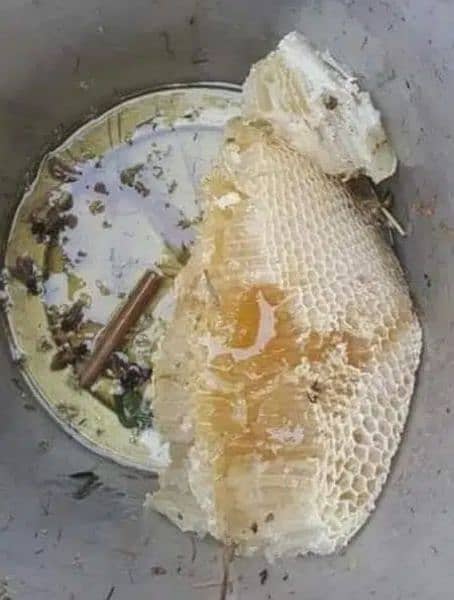pure honey, خالص جنگلی شہد, khalis shehad, bee wax (موم), bee pollen 6