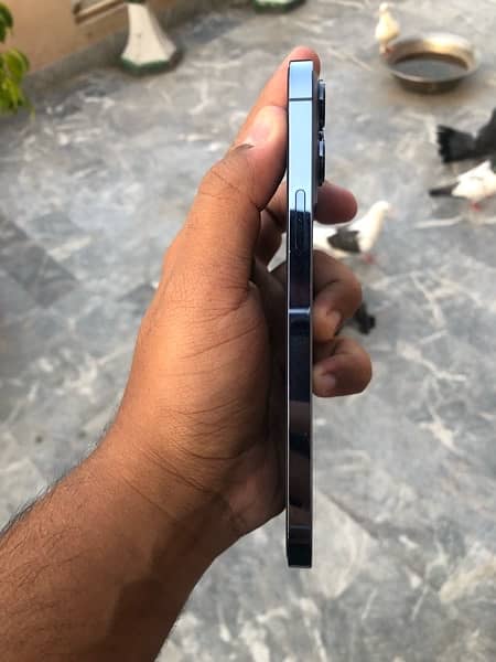 Iphone 13 Pro max Pta approved 3