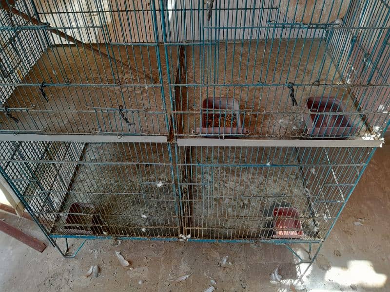 birds cage 2