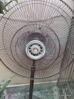24 inches GFC Pedestal Fan Copper winding. 0