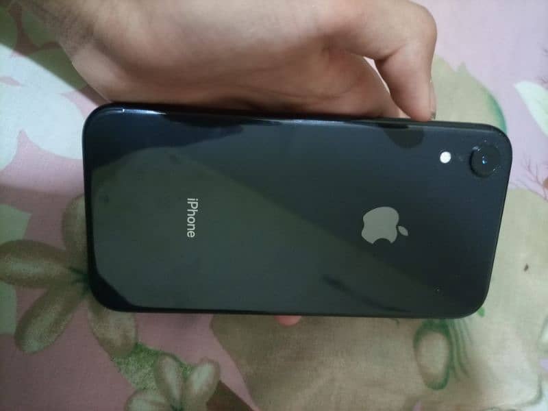 IPHONE XR BACK COLOR 6
