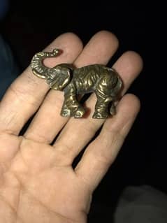 old elephant antique elephant for sell 0