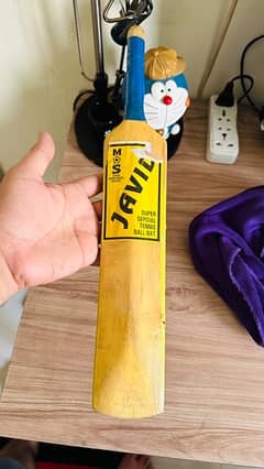 Signed bat South African team