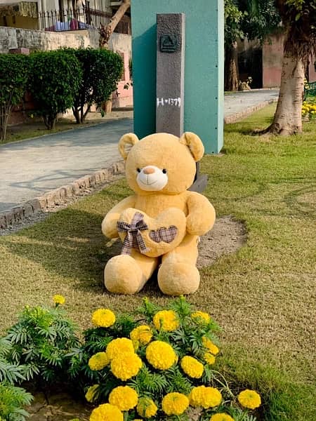 Teddy Bears 11