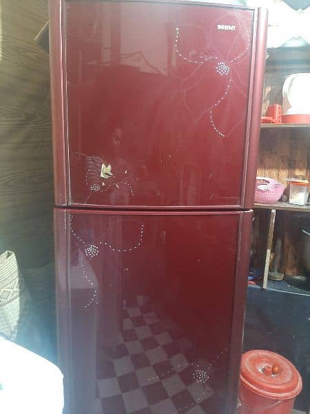 orient glass door fridge 3