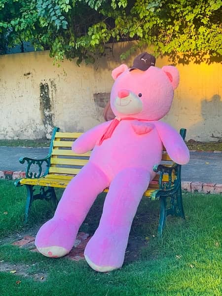 Teddy Bears / Stuffed Toy Gifts 9