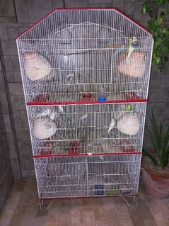 15 to 20 pair of budgies with 2 cages