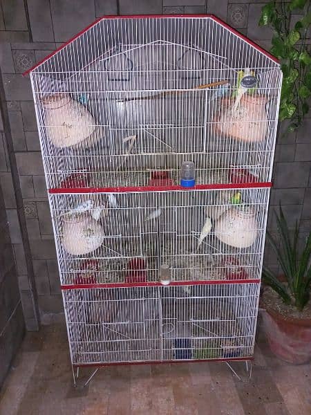 15 to 20 pair of budgies with 2 cages 0