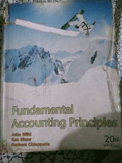 fundamental accounting principles 0