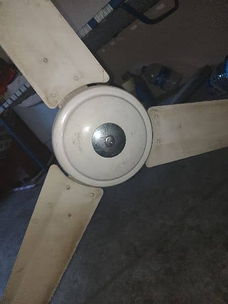 Pak fan ceiling fan for sale 2