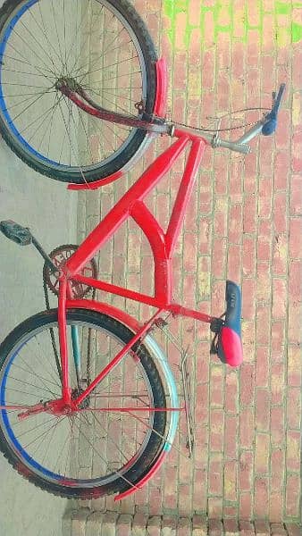 bicycle sell 03280048379 2
