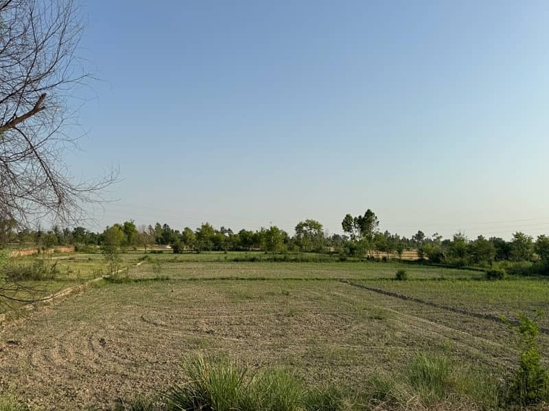 land for sale 2