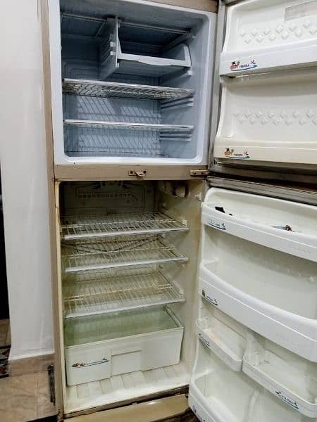 Refrigerator Company Pel 8