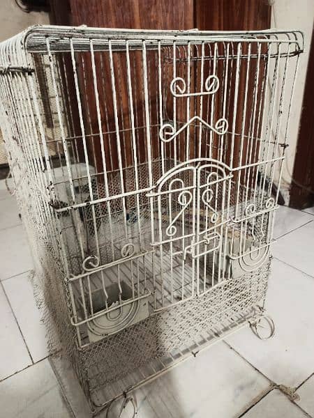 Gray Parrot Cage 2
