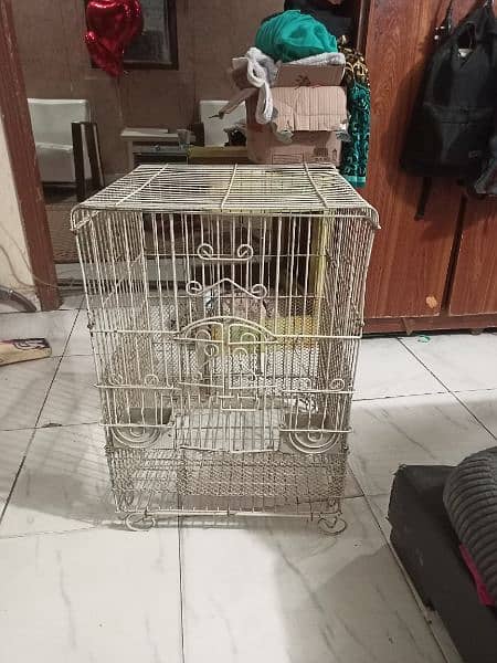 Gray Parrot Cage 3