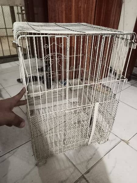 Gray Parrot Cage 4