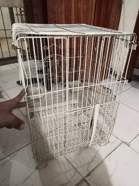 Gray Parrot Cage 5