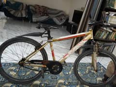 Caspian bicycle