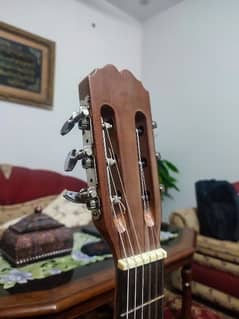 Spanish, classical guitar rosewood build