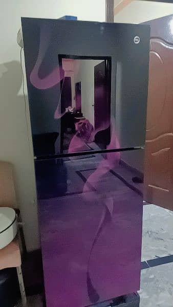 PEL Glass Door Refrigerator 4