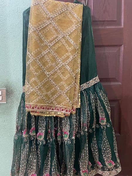 3 piece  gharara set 4