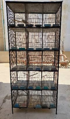 Birds cage