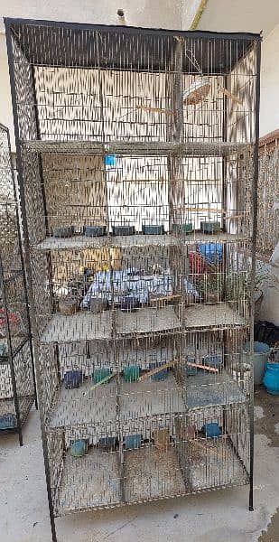 Birds cage 3