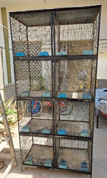 Birds cage 5