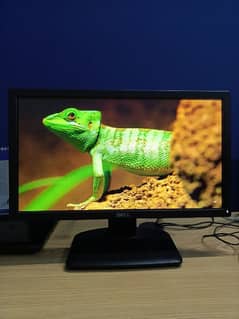 Dell E2016H Monitor 9/10 Perfect working