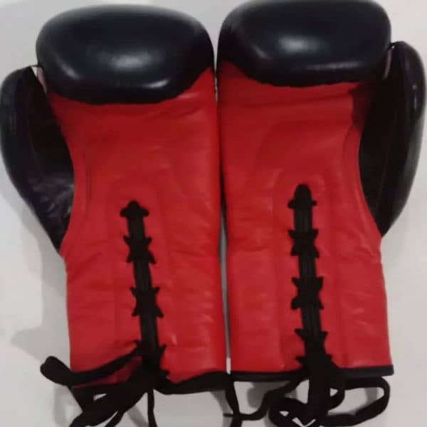 boxing gloves 1